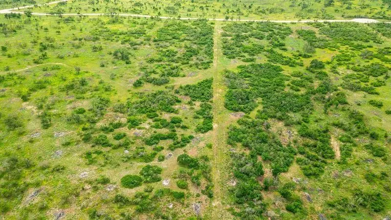 Lot 12 Sweet Wind Ln, Harper, TX 78631 - Image #3