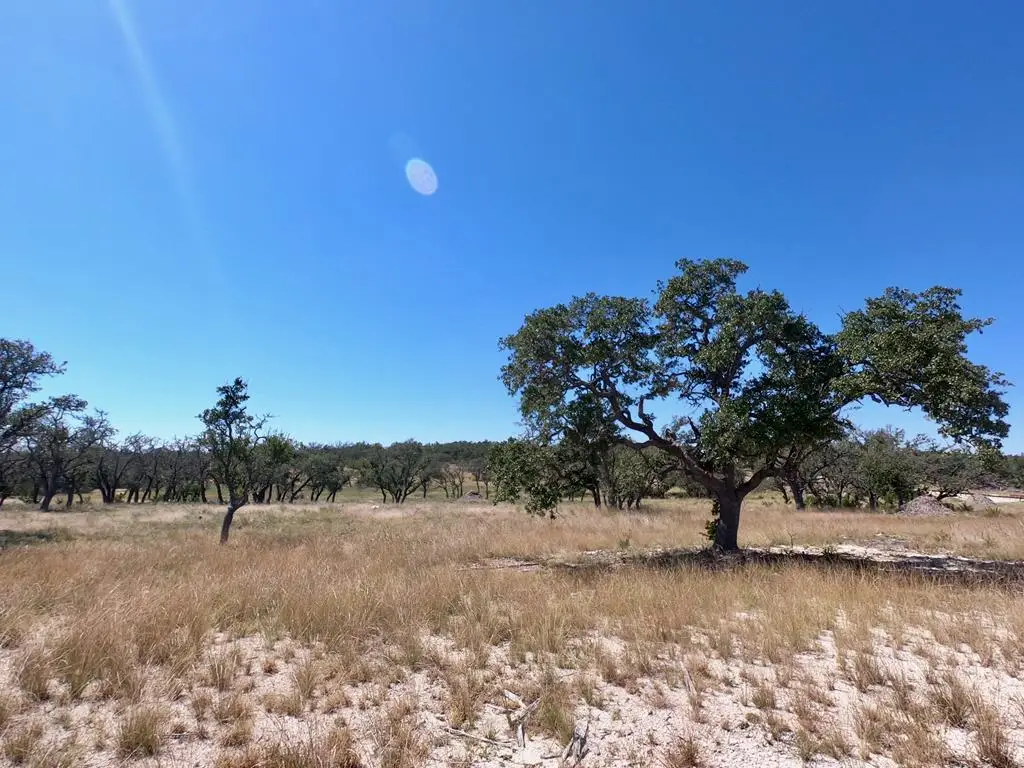 Lot 33 Brooklyn Dr, Harper, TX 78631 - #1