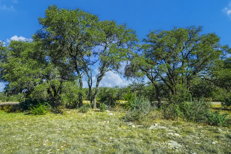 1365 N Walnut Springs Rd, Johnson City, TX 78636 - Image #3