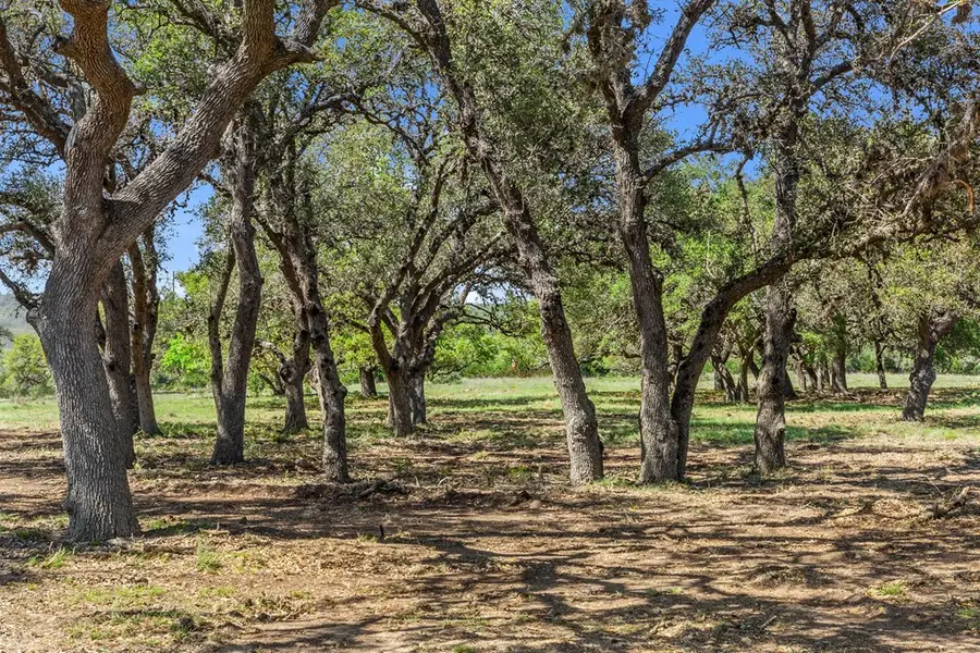 250 Brecken Ranch Rd, Fredericksburg, TX 78624 - Image #2