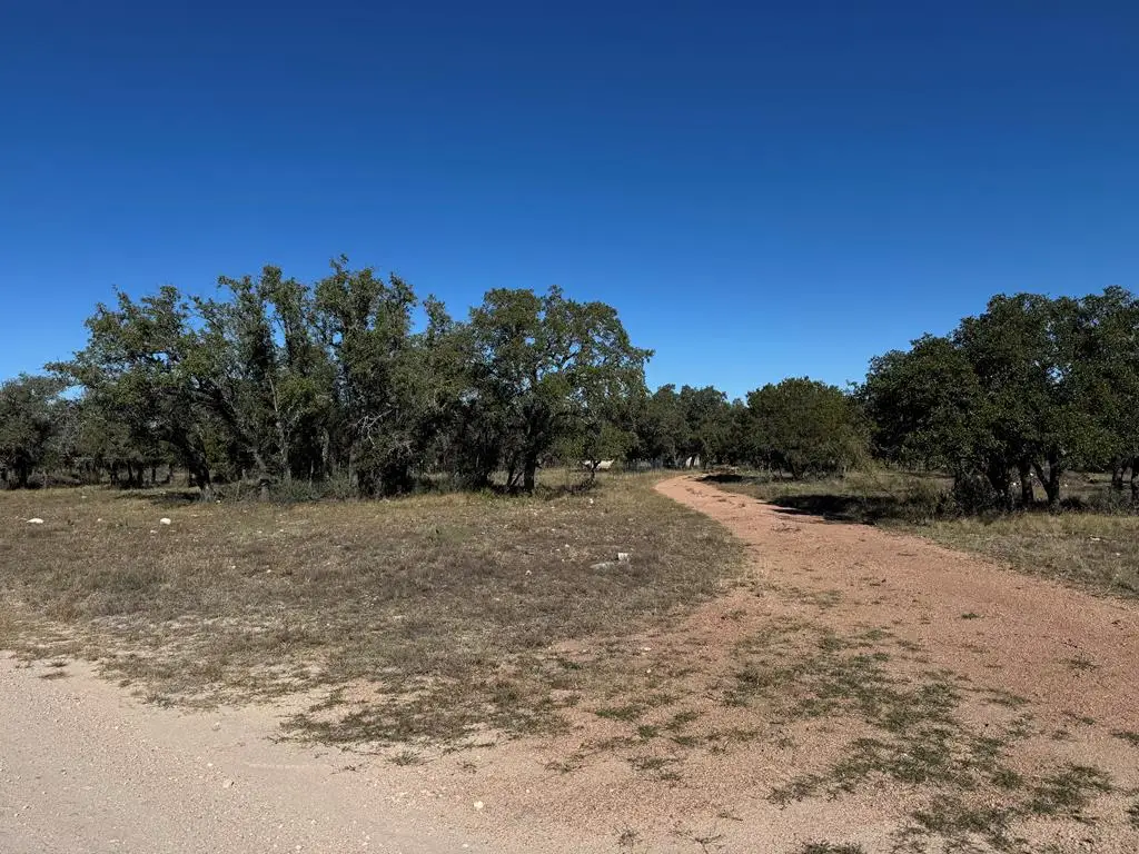 1042 Elm Springs Dr, Menard, TX 76859 - Image #1