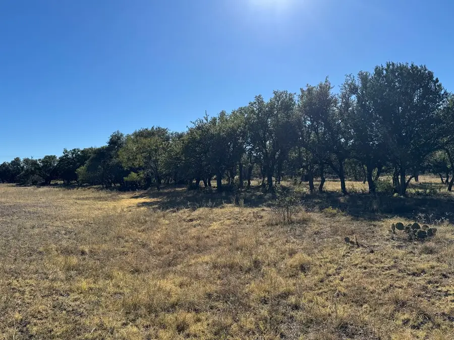 1042 Elm Springs Dr, Menard, TX 76859 - Image #2