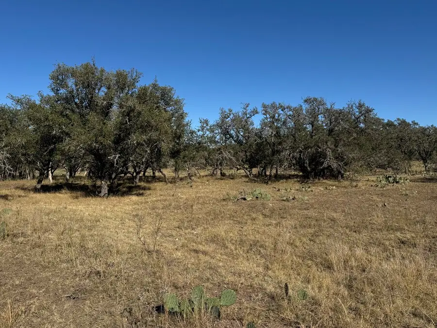 1042 Elm Springs Dr, Menard, TX 76859 - Image #3