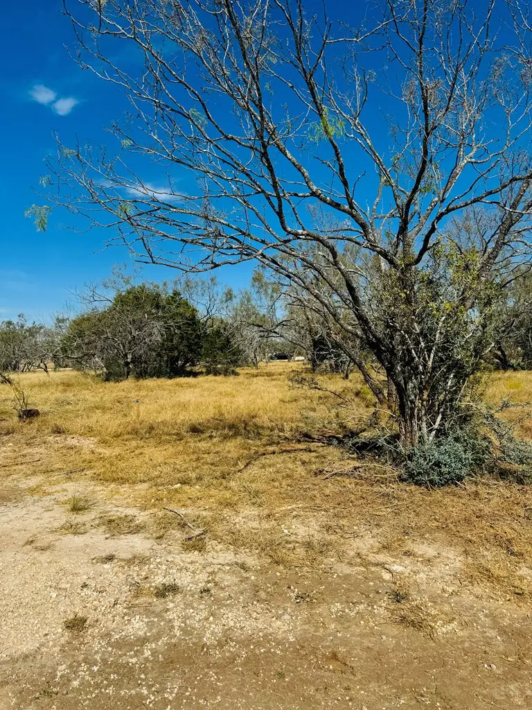 60 Ale Ct, Fredericksburg, TX 78624 - Image #3