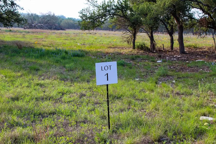 117 Apache Trace, Harper, TX 78631 - #2