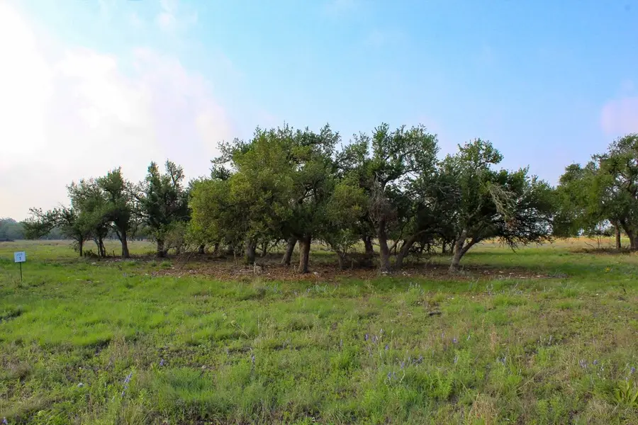 117 Apache Trace, Harper, TX 78631 - #3