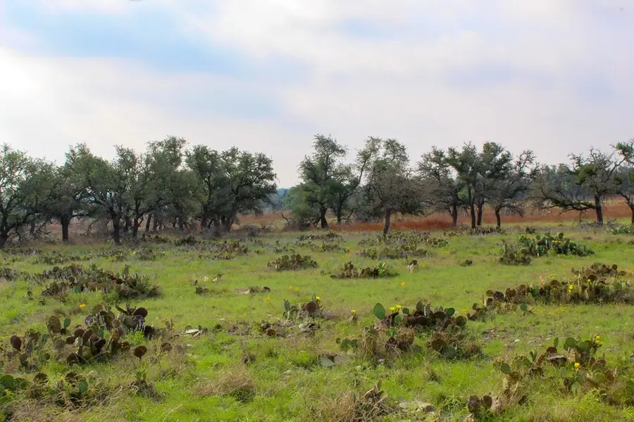 265 Apache Trace, Harper, TX 78631 - #2