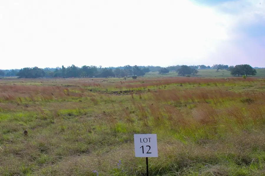 299 Apache Trace, Harper, TX 78631 - #2