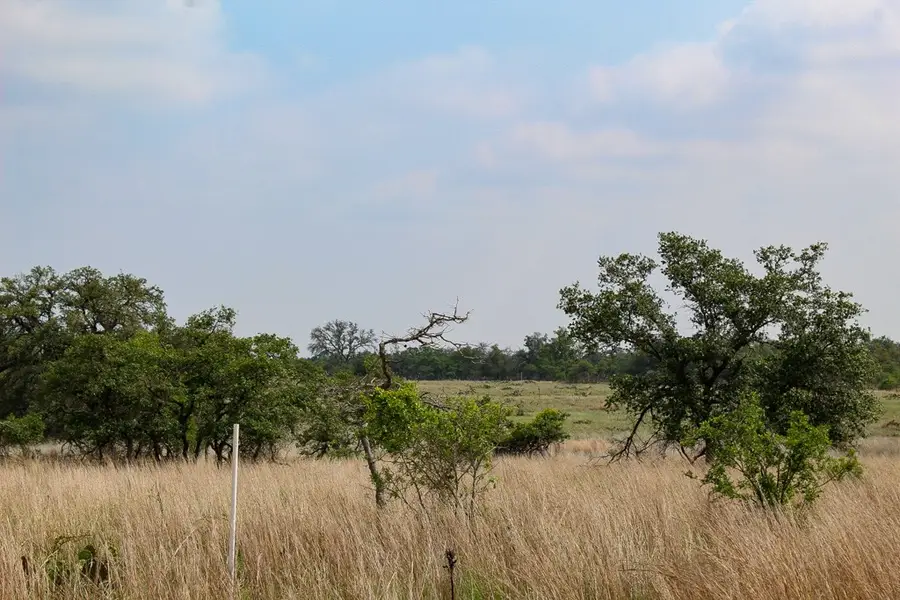 131 Lipan Loop, Harper, TX 78631 - #3