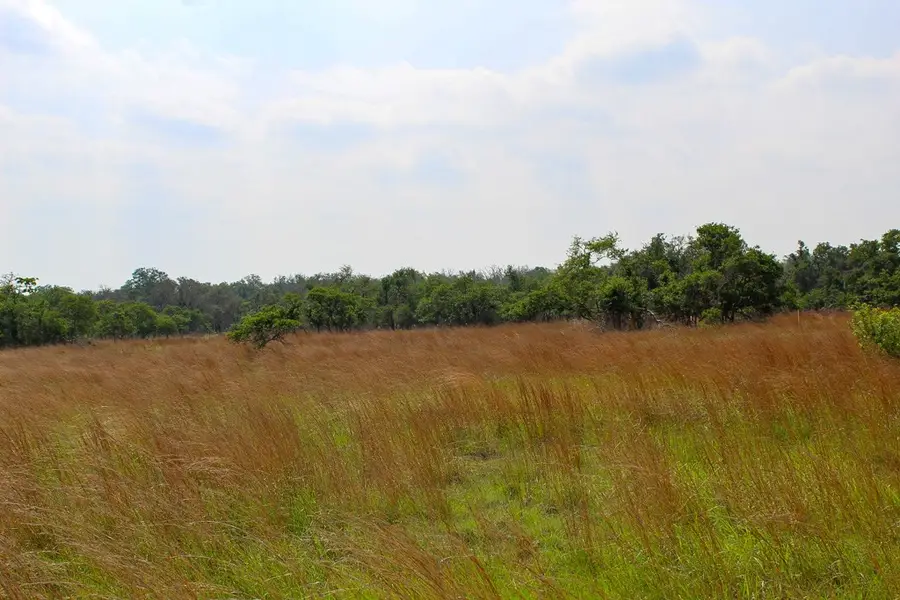 137 Lipan Loop, Harper, TX 78631 - #2