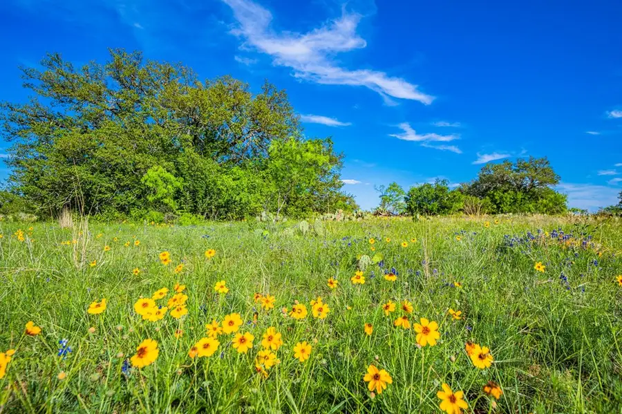 2602 County Rd 406, Llano, TX 78643 - Image #3