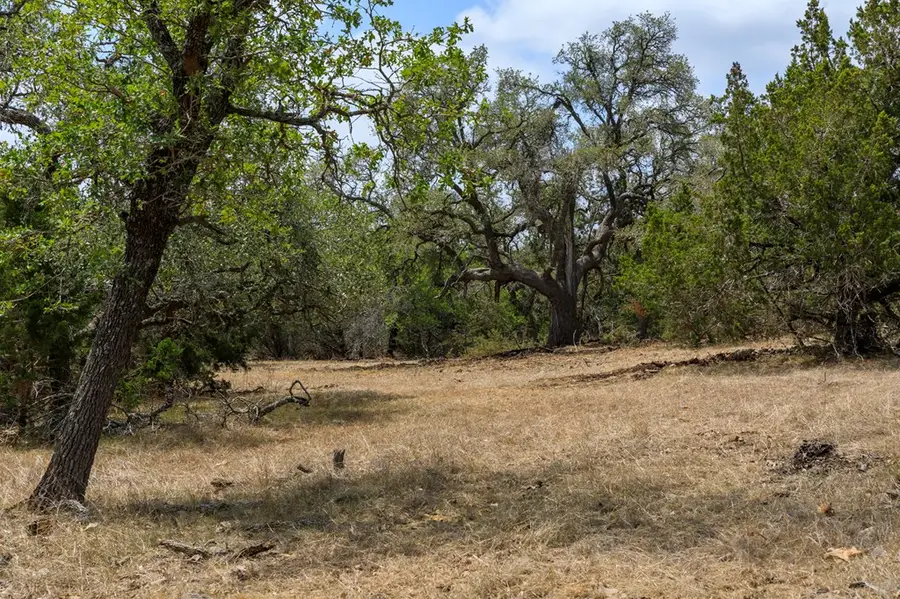 1231 Curtis Ln, Fredericksburg, TX 78624 - Image #3