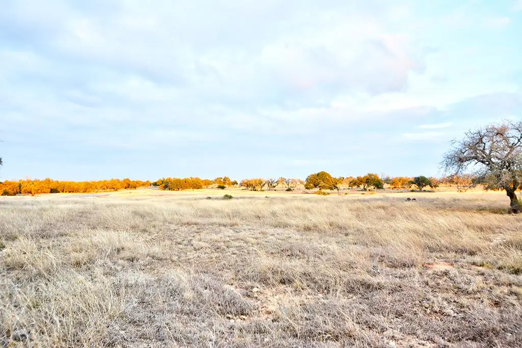 Lot 104 Oryx View Dr, Harper, TX 78631 - #1