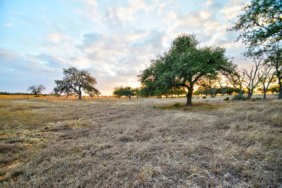 Lot 104 Oryx View Dr, Harper, TX 78631 - #3