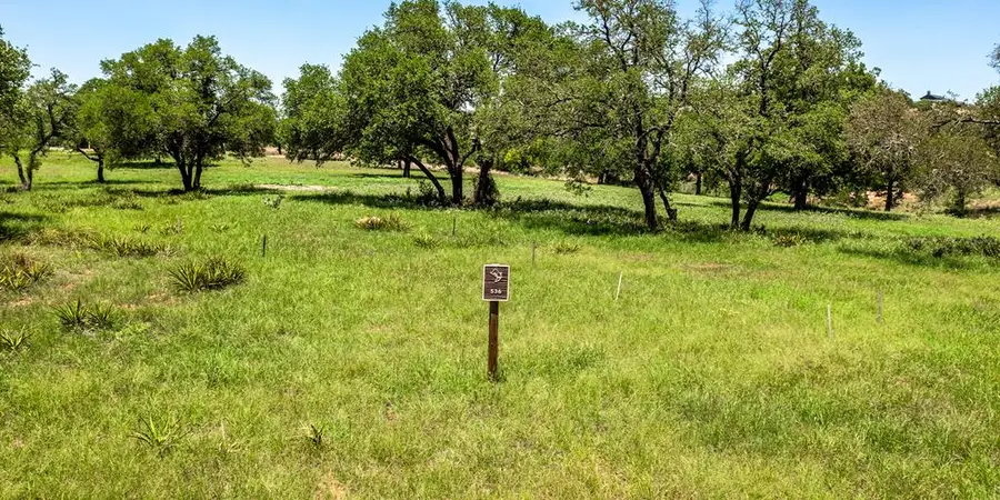 536 Wimberley Trail, Fredericksburg, TX 78624 - Image #3