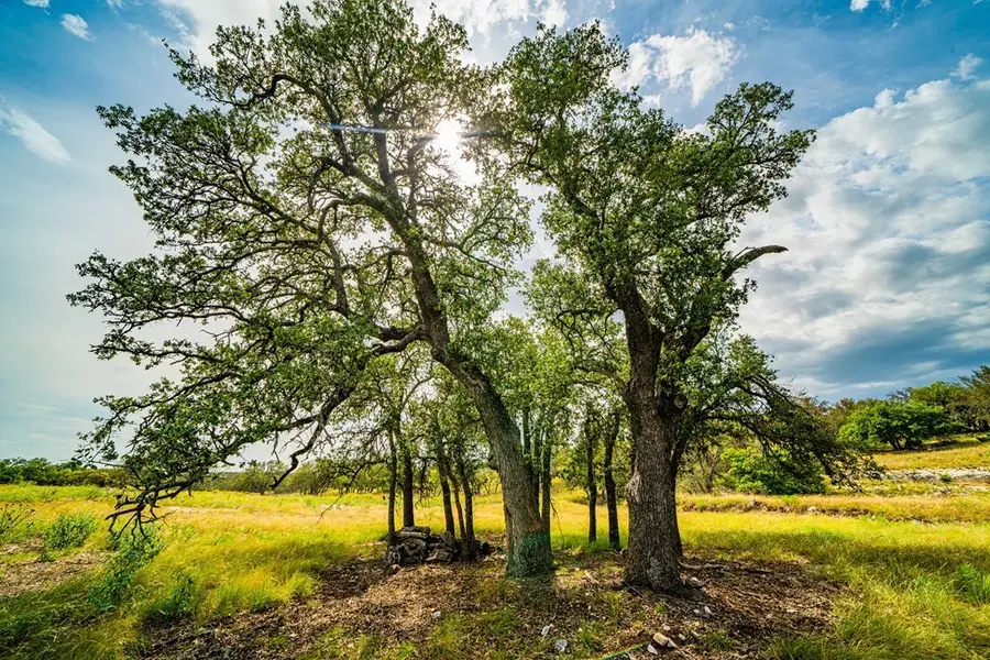 326 Blue Oak Tr, Harper, TX 78631 - Image #2