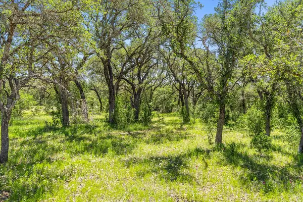 1422-4 Ranch Rd 2766, Johnson City, TX 78636