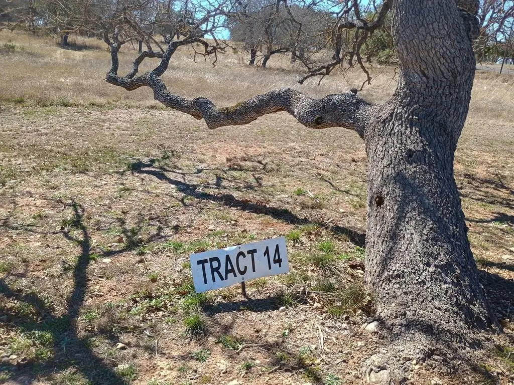 Lot 14 Las Brisas Dr, Kerrville, TX 78028 - #1