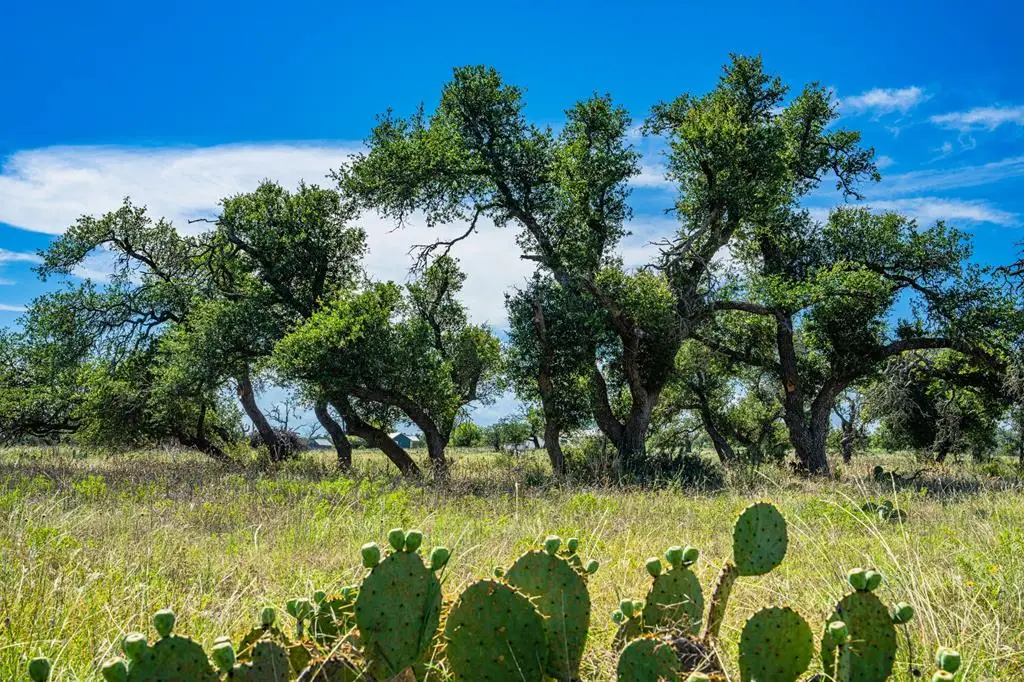 Lot 4 Old Harper Rd, Fredericksburg, TX 78624 - Image #1