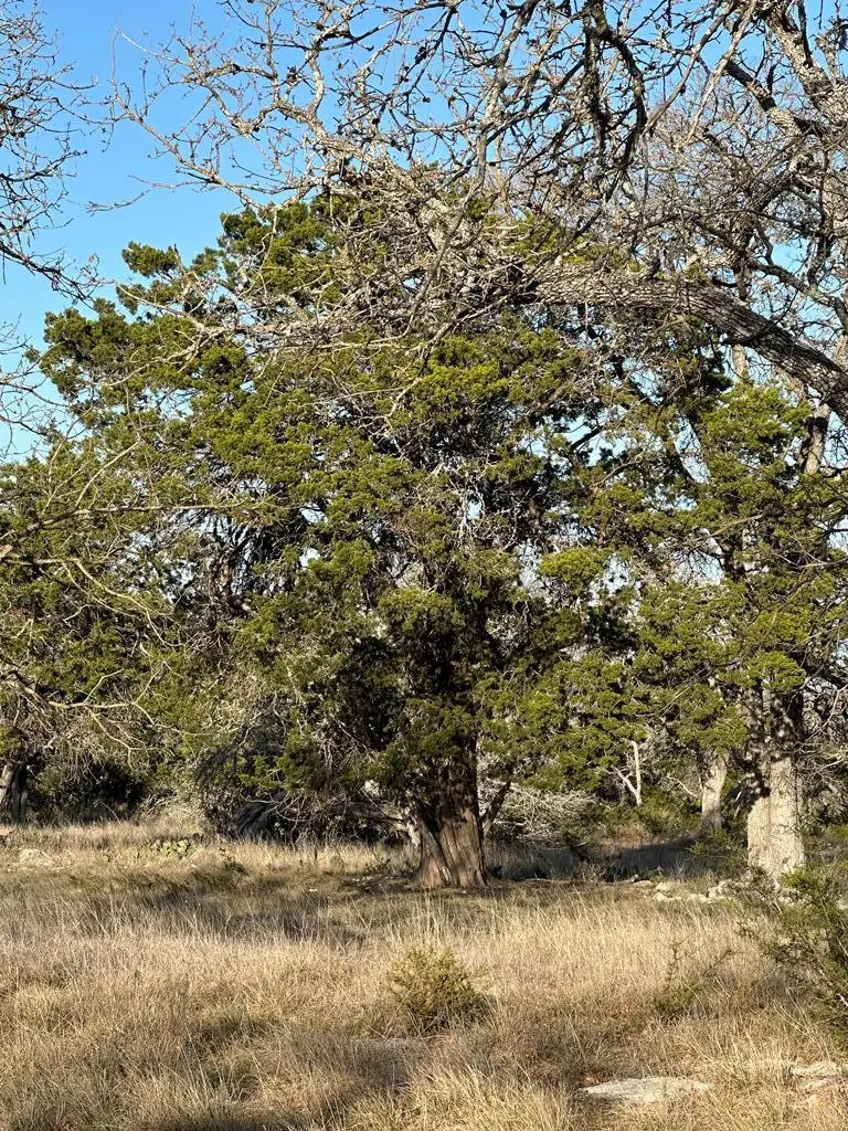 Lot # 59 Cliff View Loop, Harper, TX 78631 - Image #3