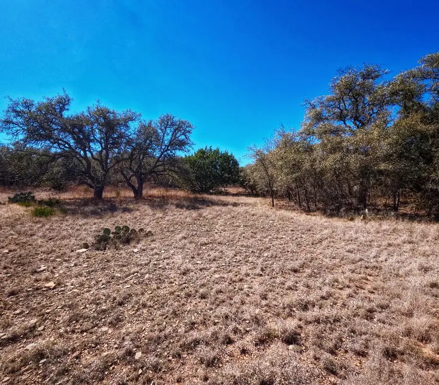 623 Josephine Rd, Harper, TX 78624 - Image #3