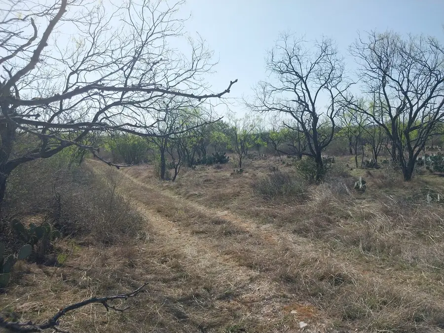 Address Withheld By Seller, Llano, TX 78643 - Image #2