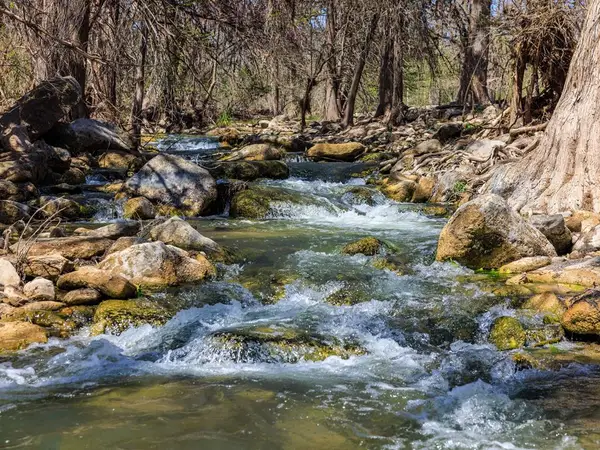 230 Beaver Rd, Ingram, TX 78025