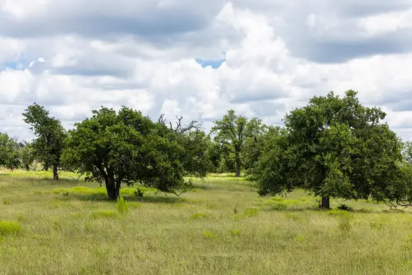 0 N Gretchen Grove Ln, Fredericksburg, TX 78624