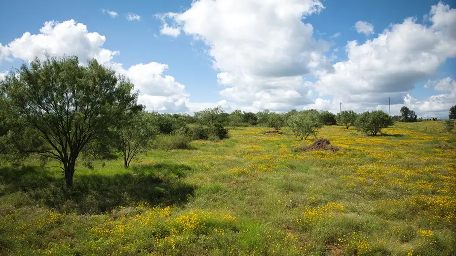 806 S Hwy 377, Mason, TX 76856 - Image #3