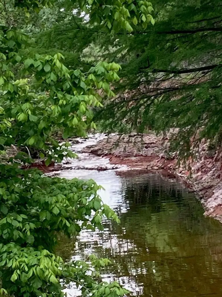 702 E Schubert St, Fredericksburg, TX 78624 - Image #2