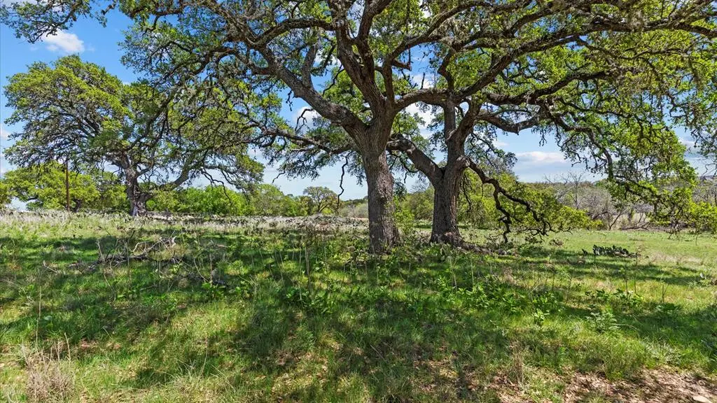 113 Vista Sendero, Blanco, TX 78606 - Image #1
