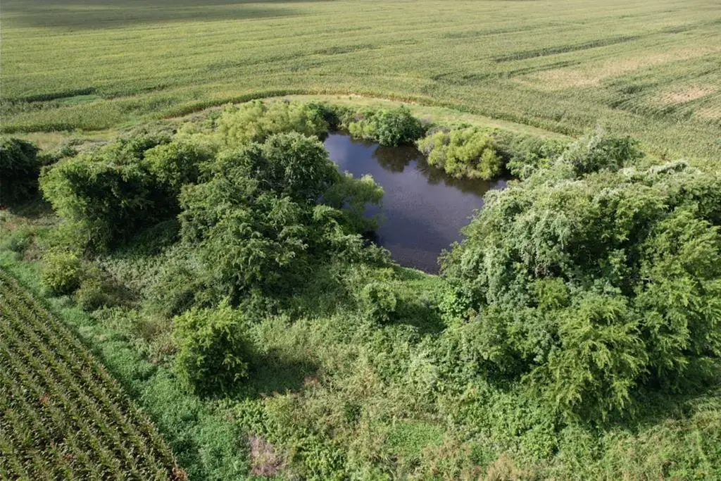 3361 Fm 1862, Palacios, TX 77465 - #1