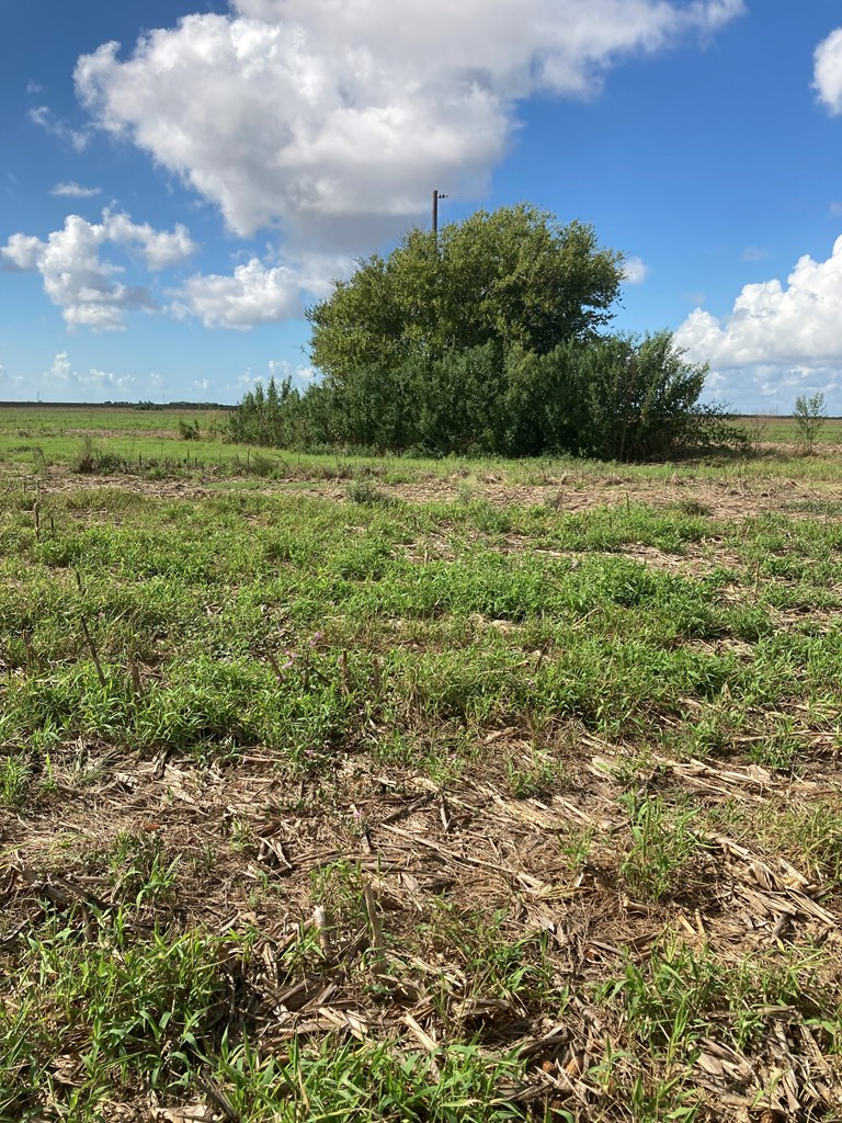 3361 Fm 1862, Palacios, TX 77465 - #3