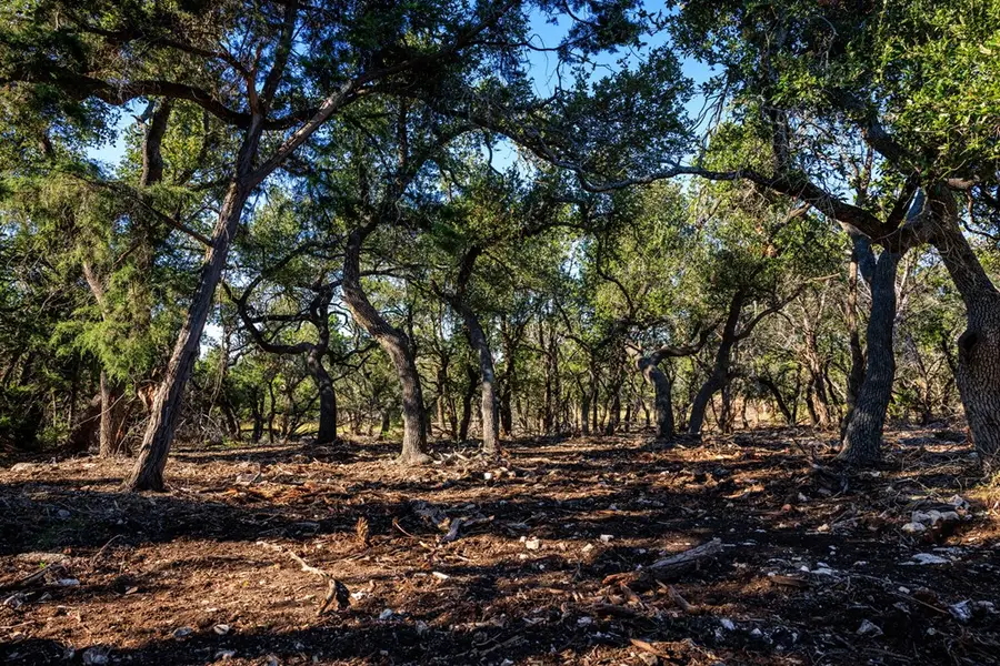 00 Ranch Rd 965, Fredericksburg, TX 78624 - Image #2