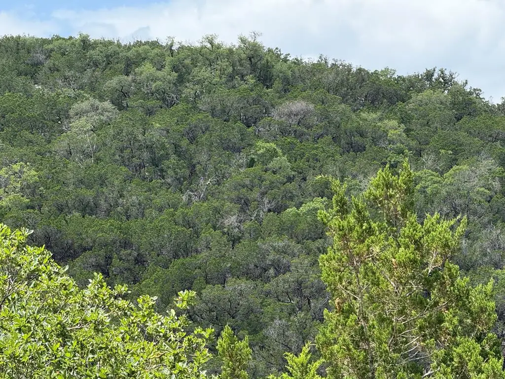 159 Valley Vista, Tarpley, TX 78883 - Image #1