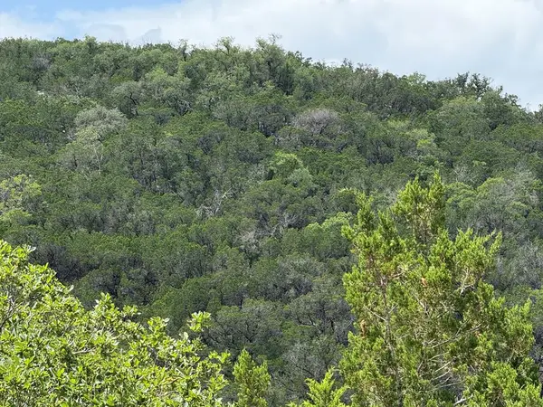 159 Valley Vista, Tarpley, TX 78883