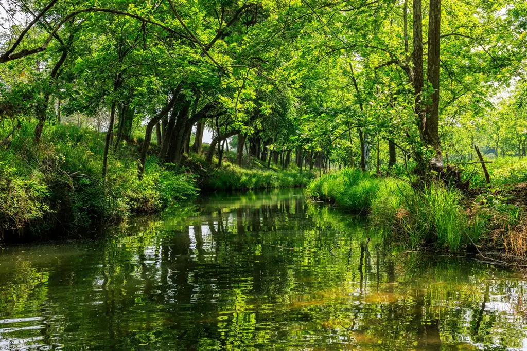 199 Lexington Dr, Fredericksburg, TX 78624 - Image #1