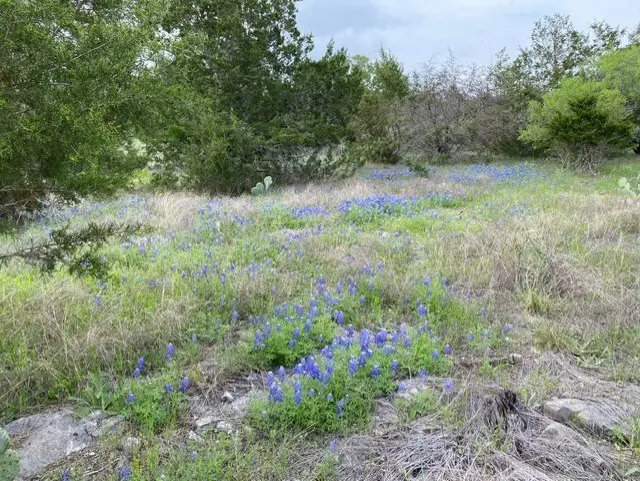 1365 Pedernales Hills Dr, Johnson City, TX 78636 - Image #2