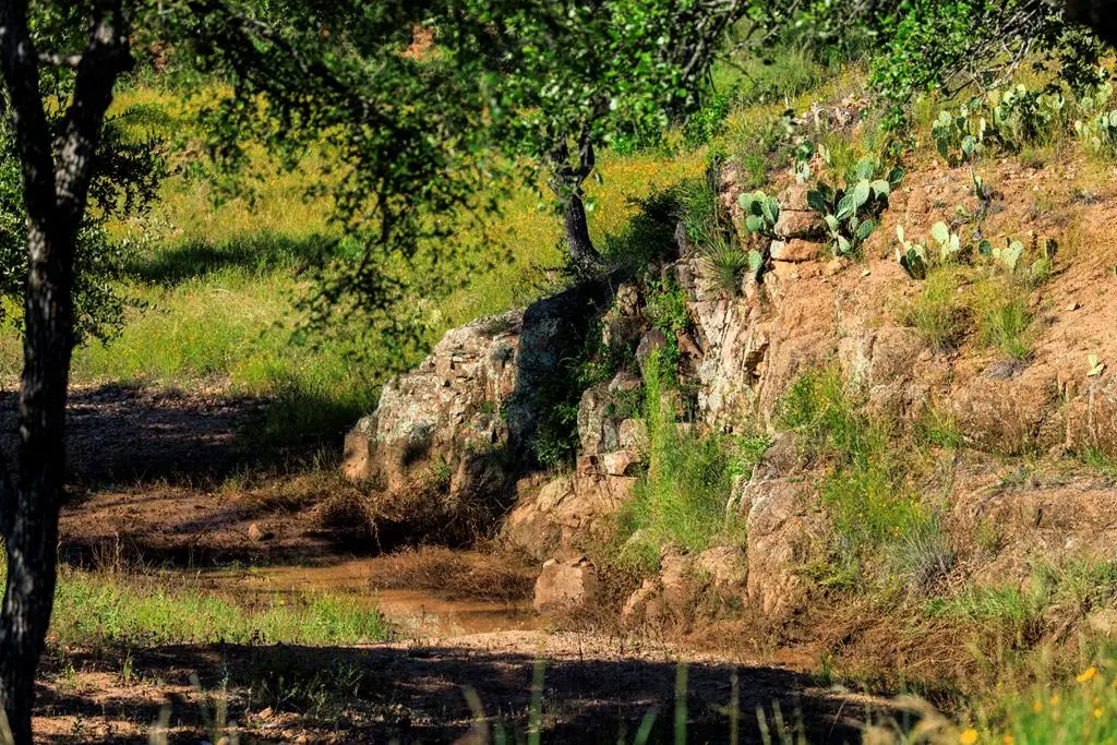 3736-6 County Rd 113, Llano, TX 78643 - #1