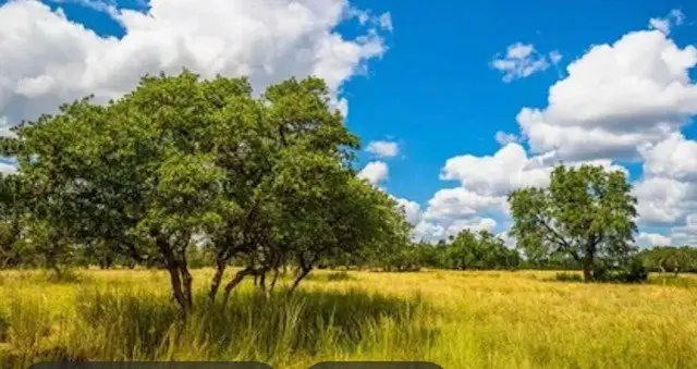 Tract 15 Legacy Oaks Dr, Harper, TX 78624 - Image #3