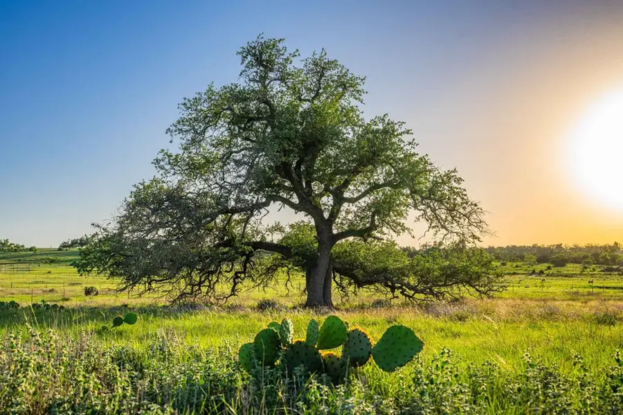 289 Scenic Outlook Trail, Fredericksburg, TX 78624 - Image #3