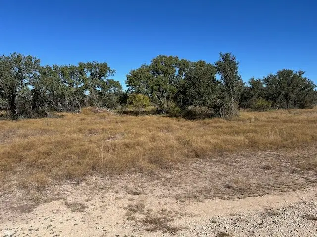 550 Antler Ln, Brady, TX 76825 - Image #3