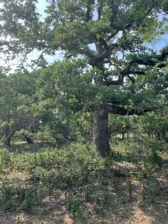 Tract C Jerald Dr, Fredericksburg, TX 78624