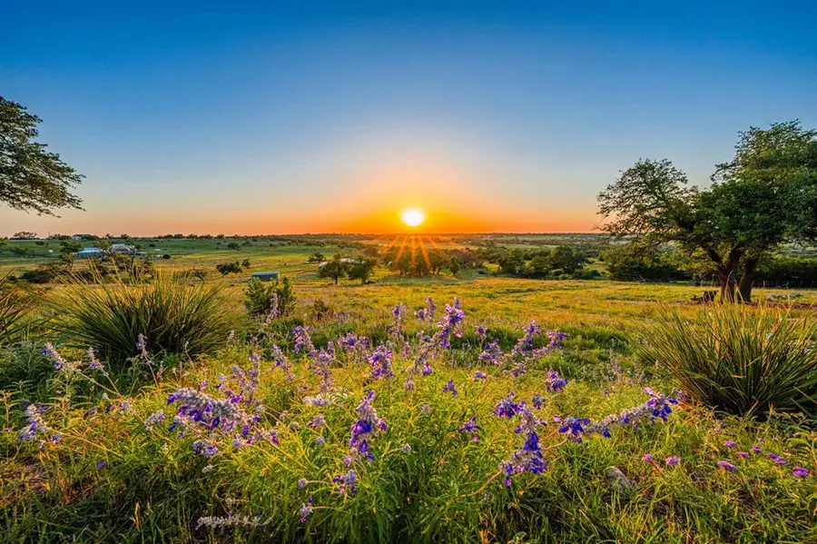 289 Scenic Outlook Trail, Fredericksburg, TX 78624 - Image #3