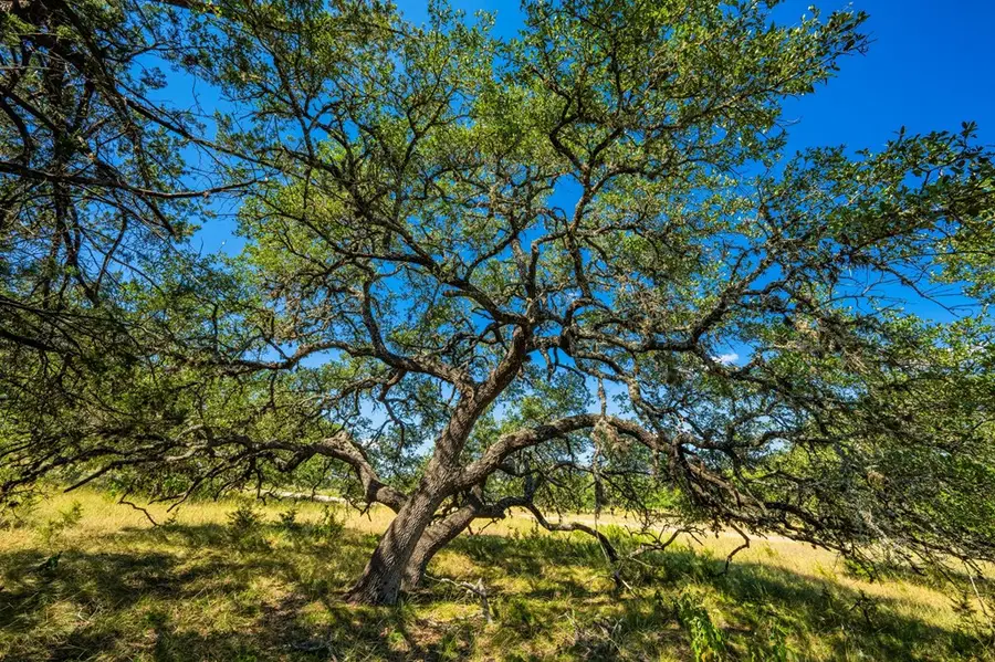 2 Southview Ridge Ln, Fredericksburg, TX 78624 - Image #3