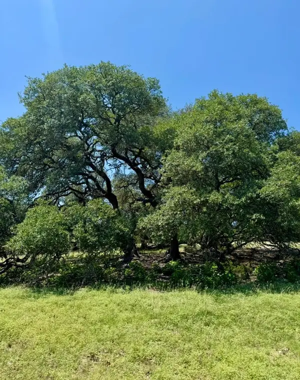 TBD Grape Creek Rd, Fredericksburg, TX 78624