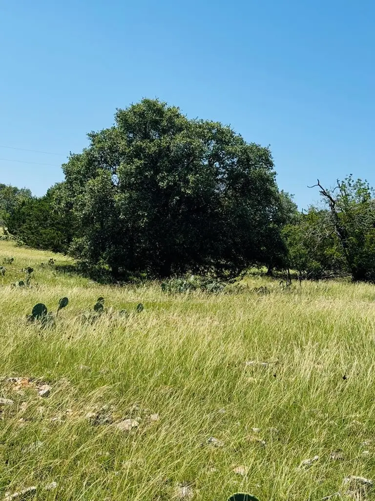 TBD Grape Creek Rd, Fredericksburg, TX 78624 - Image #2