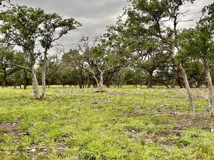 Tract 2 Rare Eagle Dr, Fredericksburg, TX 78624 - Image #3