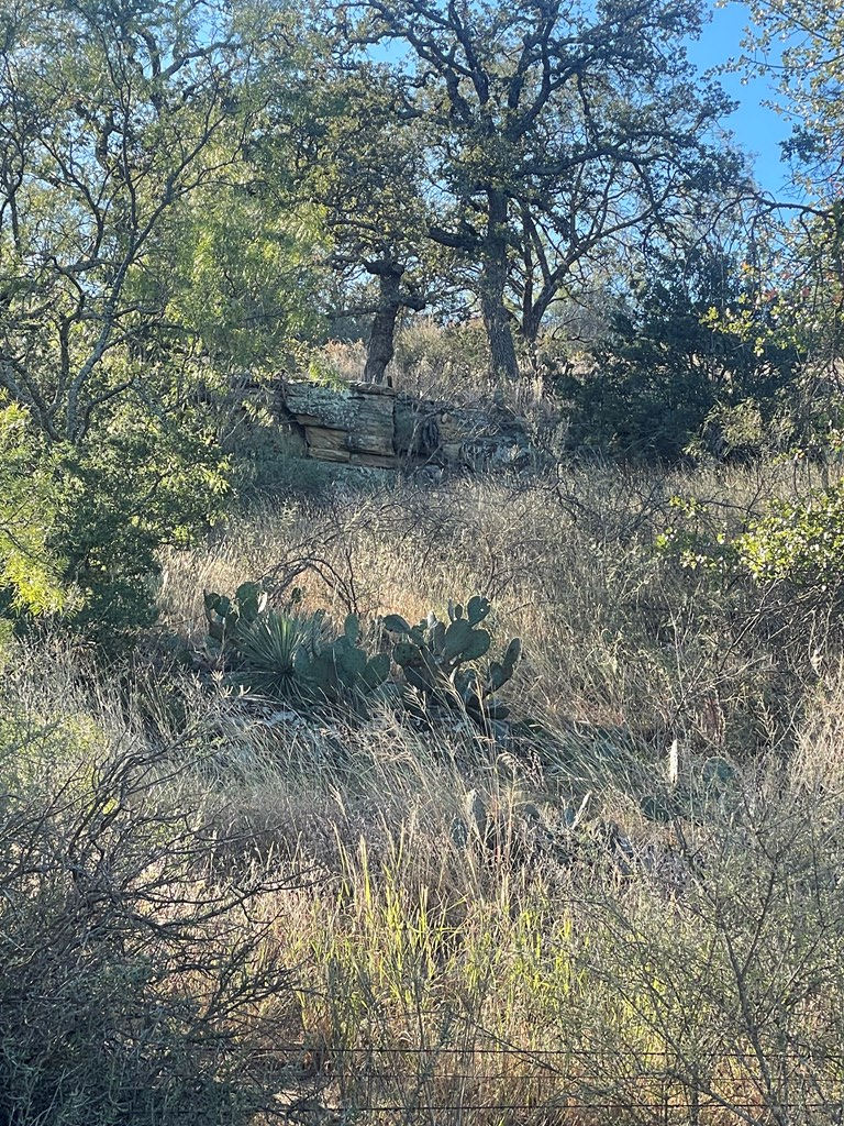 1 Little Willow Creek Road, Mason, TX 76856 - Image #3