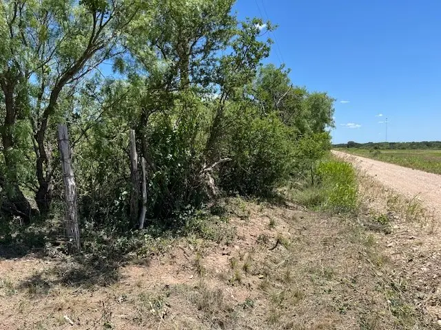 Lot 4 & 5 County Rd 156, Brady, TX 76825 - Image #2